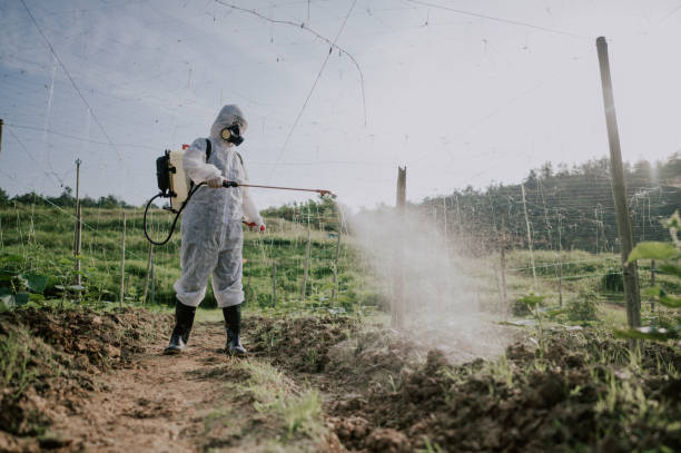 Best Local Pest Control Services  in Elko, NV