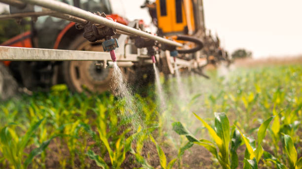 Best Commercial Pest Control Services  in Elko, NV